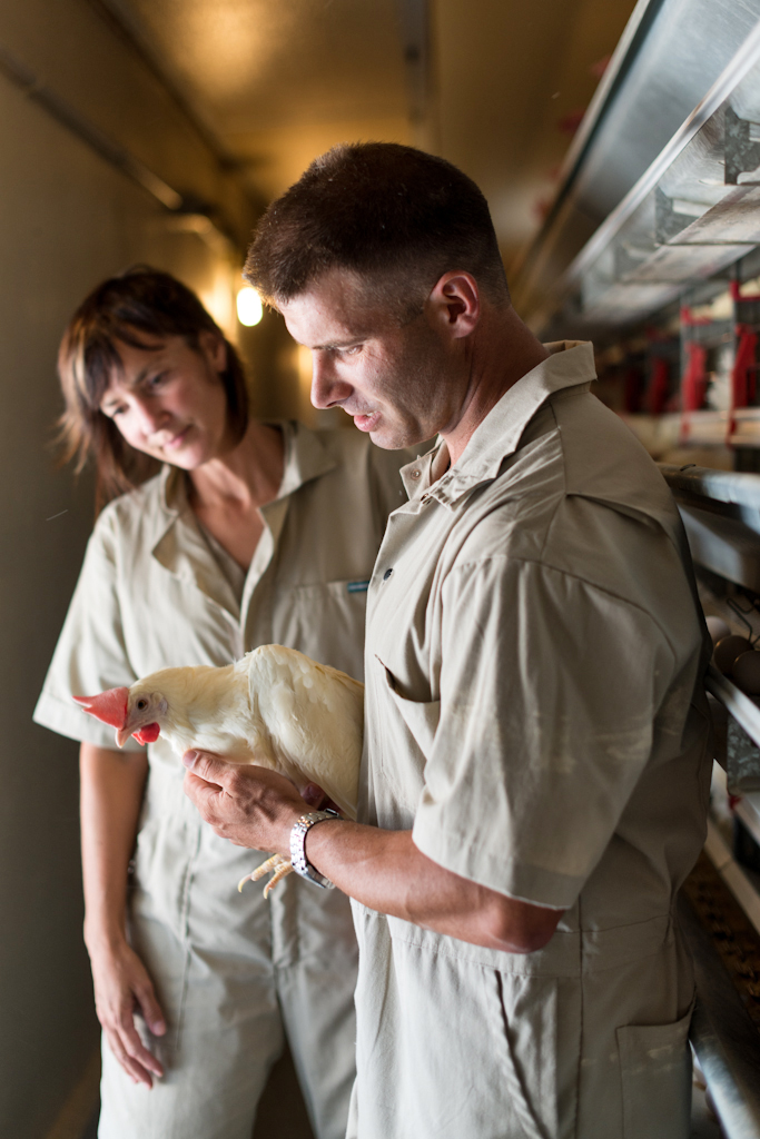 Social Responsibility